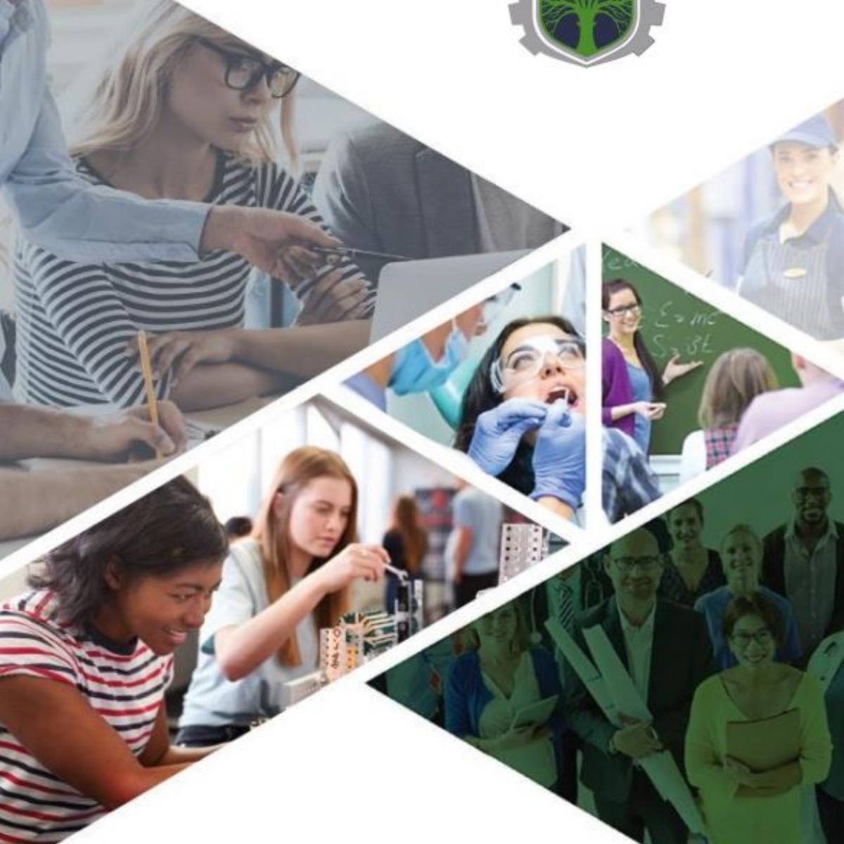 Bradfield School Y9 options presentation and live Q+ A Monday 7th